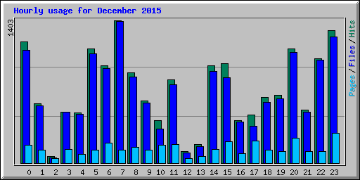 Hourly usage for December 2015