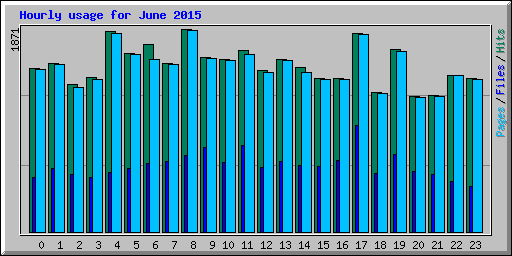 Hourly usage for June 2015
