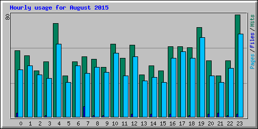 Hourly usage for August 2015