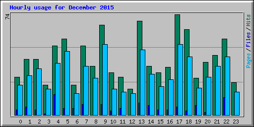 Hourly usage for December 2015