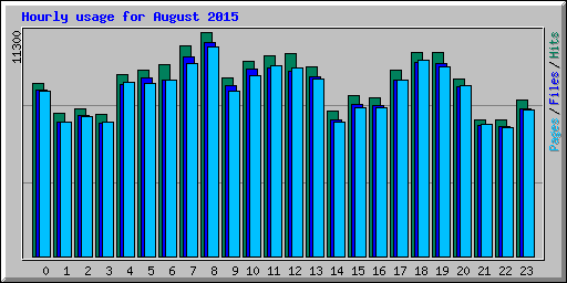 Hourly usage for August 2015
