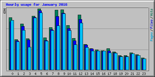 Hourly usage for January 2016