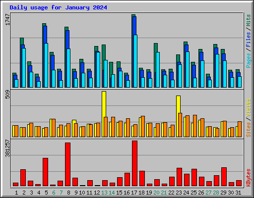 Daily usage for January 2024