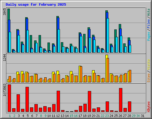 Daily usage for February 2025