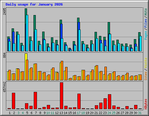 Daily usage for January 2026