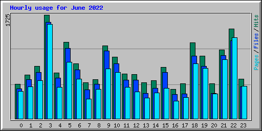 Hourly usage for June 2022