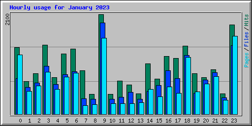 Hourly usage for January 2023