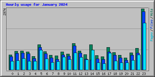 Hourly usage for January 2024