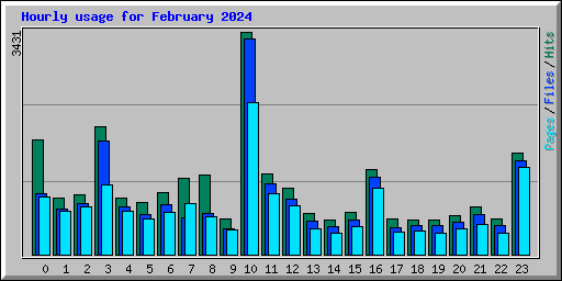 Hourly usage for February 2024
