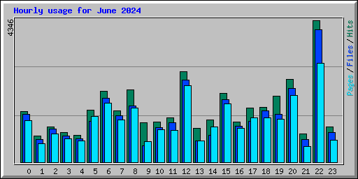 Hourly usage for June 2024