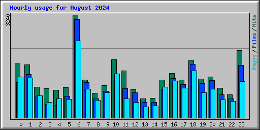 Hourly usage for August 2024