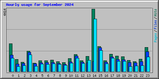 Hourly usage for September 2024