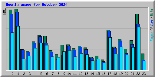 Hourly usage for October 2024