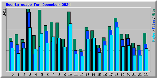 Hourly usage for December 2024