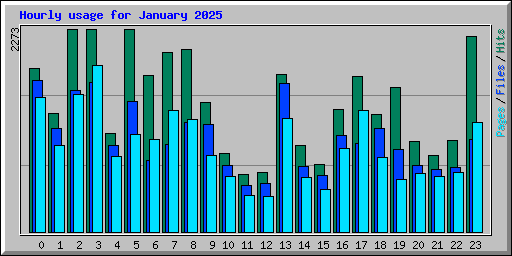 Hourly usage for January 2025