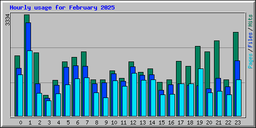 Hourly usage for February 2025