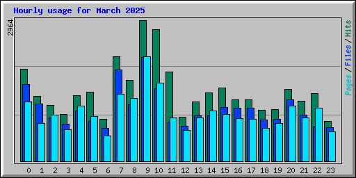 Hourly usage for March 2025