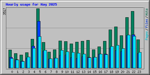 Hourly usage for May 2025