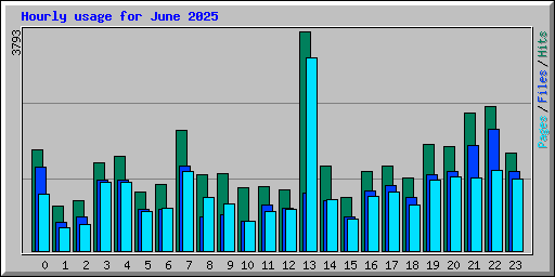 Hourly usage for June 2025