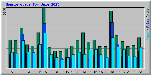 Hourly usage for July 2025