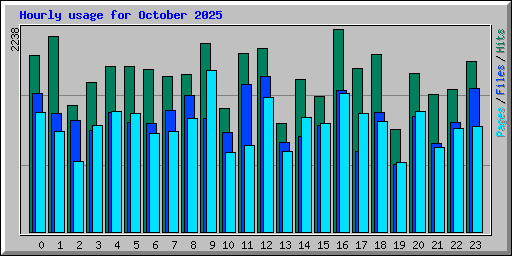 Hourly usage for October 2025