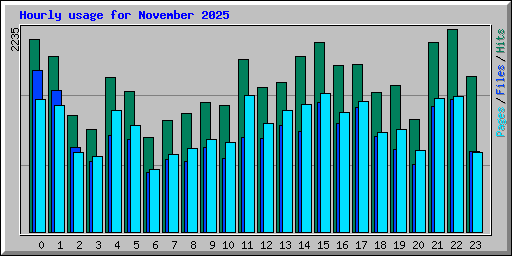 Hourly usage for November 2025