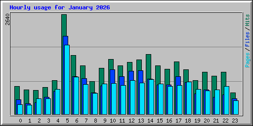 Hourly usage for January 2026