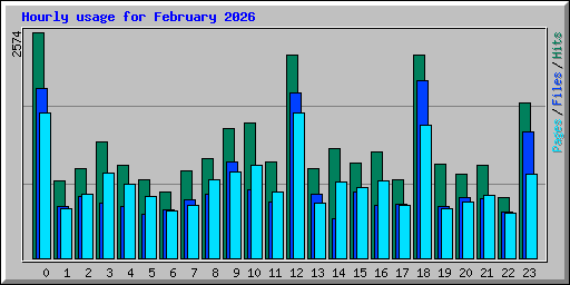 Hourly usage for February 2026