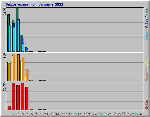 Daily usage for January 2022