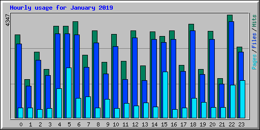Hourly usage for January 2019