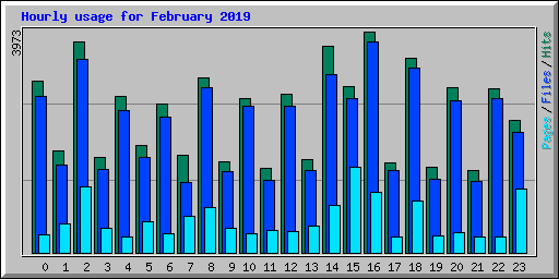 Hourly usage for February 2019