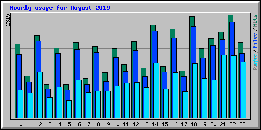 Hourly usage for August 2019