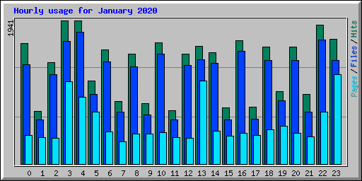 Hourly usage for January 2020