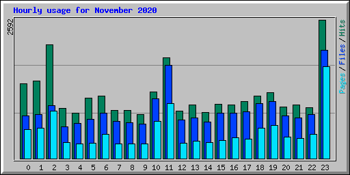 Hourly usage for November 2020
