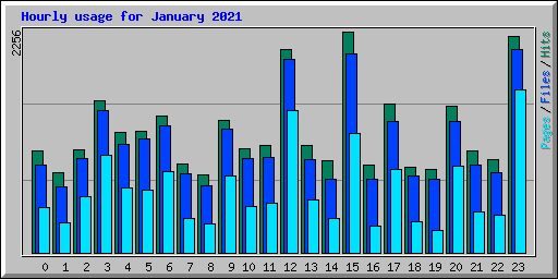Hourly usage for January 2021