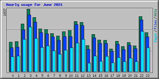 Hourly usage for June 2021