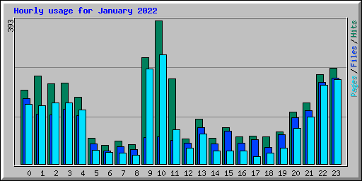 Hourly usage for January 2022