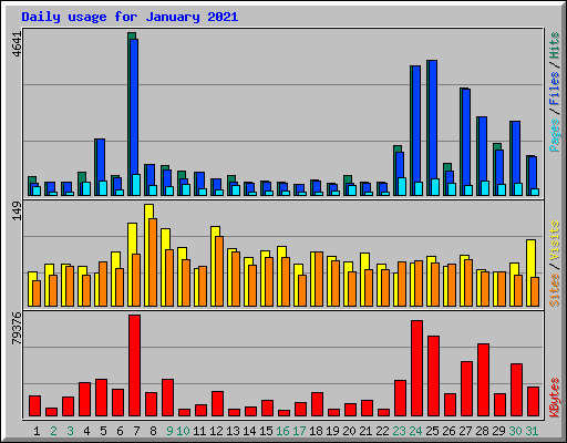 Daily usage for January 2021