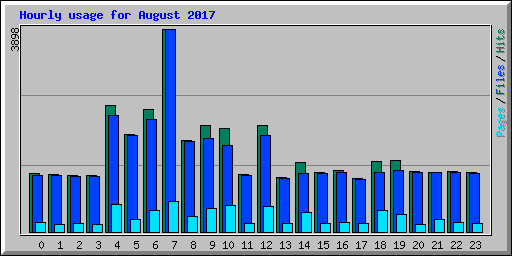Hourly usage for August 2017