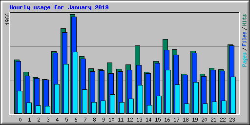 Hourly usage for January 2019