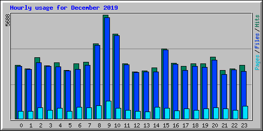 Hourly usage for December 2019
