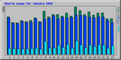 Hourly usage for January 2020