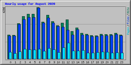 Hourly usage for August 2020