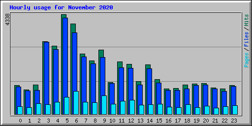Hourly usage for November 2020
