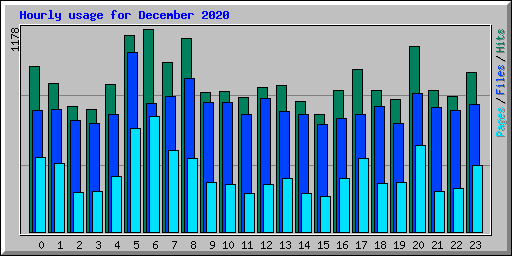 Hourly usage for December 2020