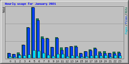Hourly usage for January 2021