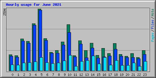 Hourly usage for June 2021