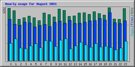 Hourly usage for August 2021