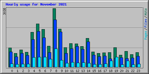 Hourly usage for November 2021