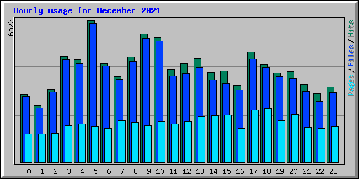 Hourly usage for December 2021